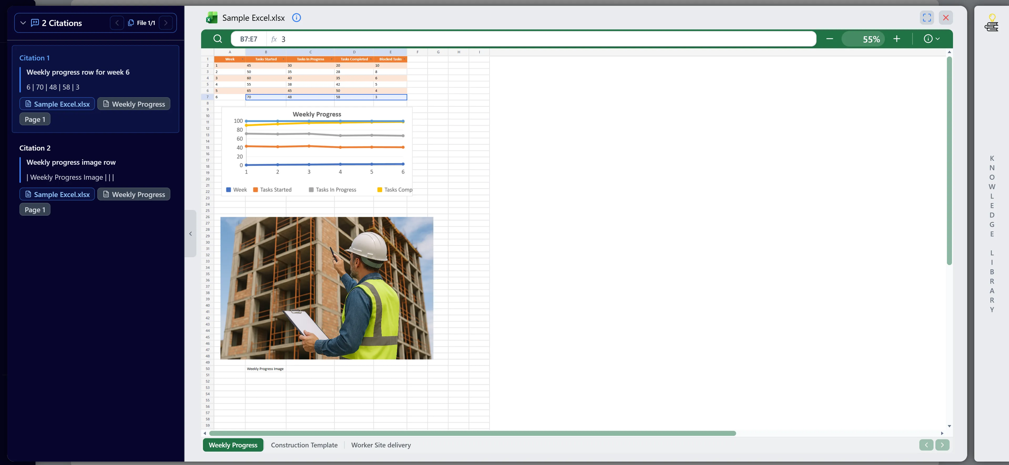 Excel Citations